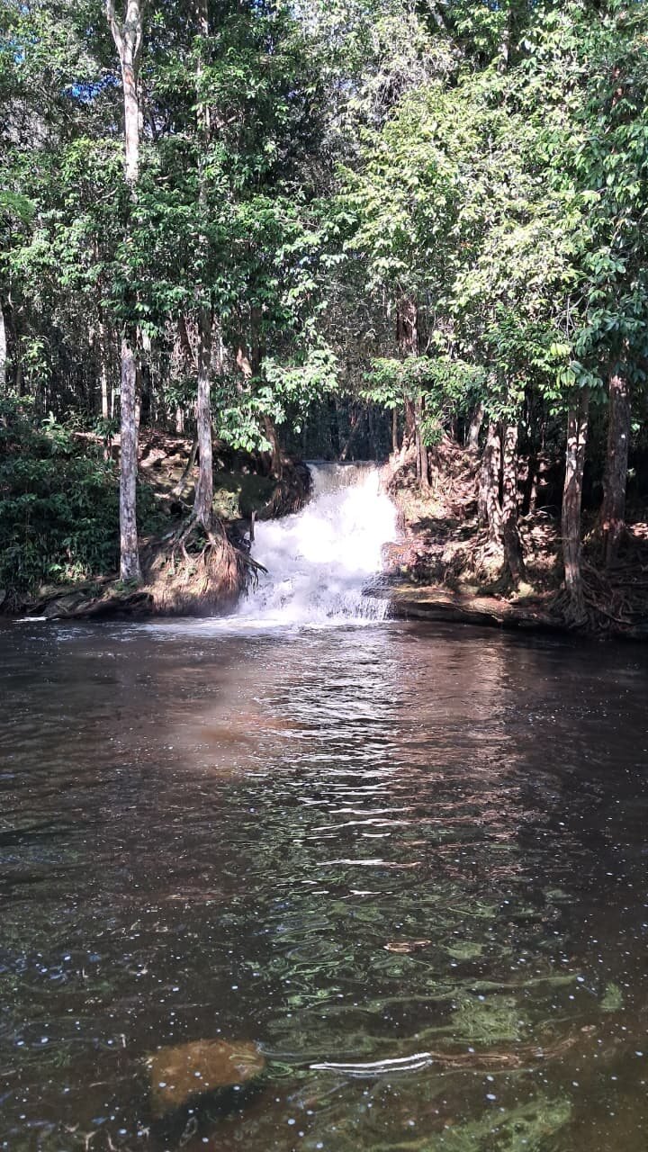 Corredeira entre árvores em Presidente Figueiredo