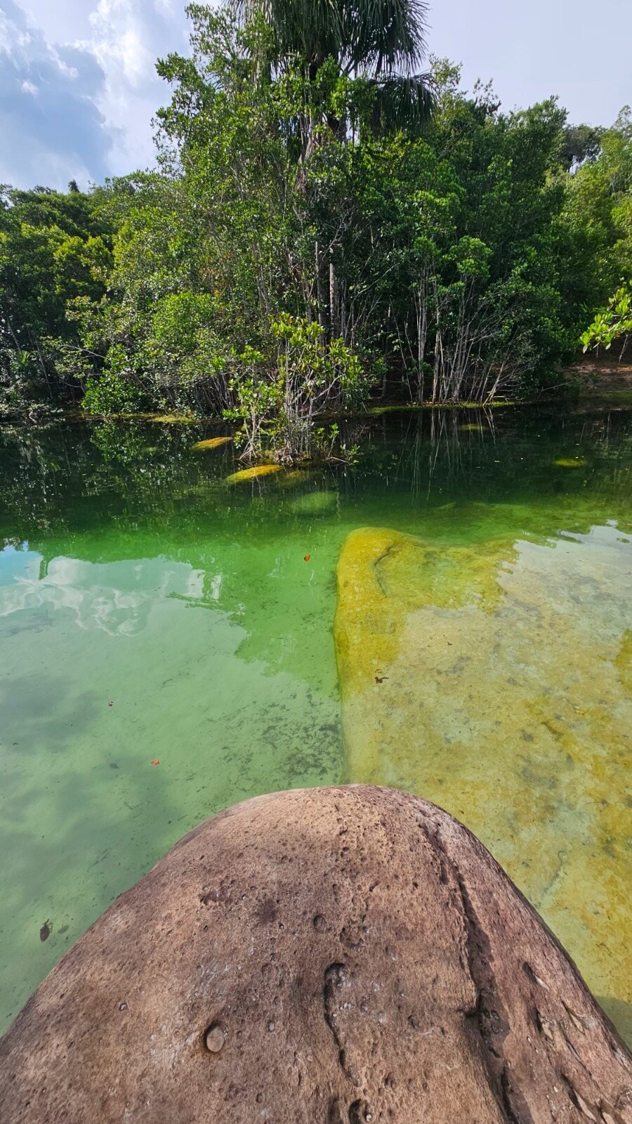 Lagoa de águas verdes cercada pela floresta amazônica